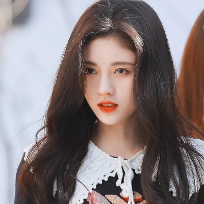 狗狗与我的十个约定